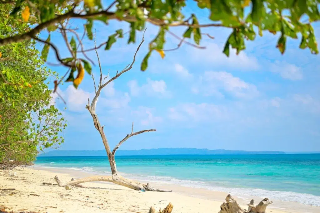 Andaman Family Packages Cost @ 9,845/-per person